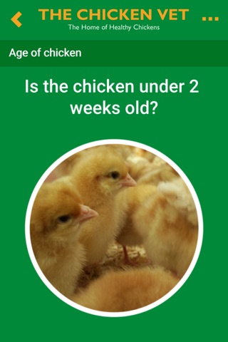 The Chicken Vet screenshot 2