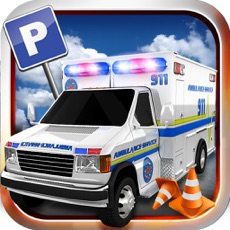 Activities of Hospital Ambulance Emergency Rescue: Parking Mania