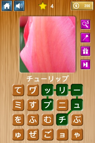 Zoom & Hidden Word screenshot 4