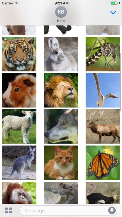 POLY NIMALS