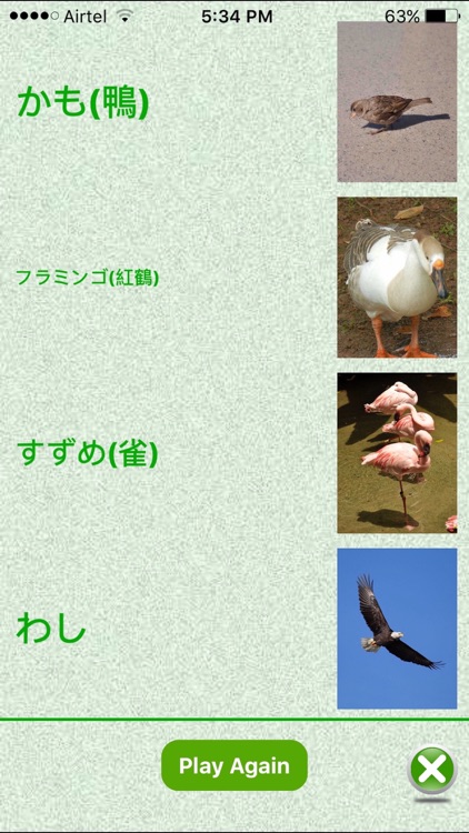 FlashCards Japanese Lesson screenshot-2