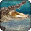 Hungry Crocodile Under-Water Hunting Adventure