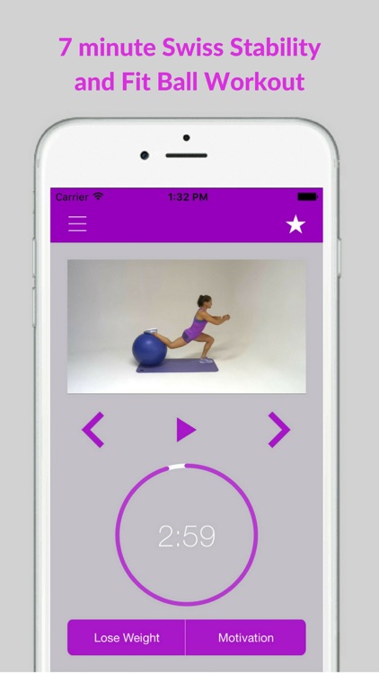 Swiss Ball Exercises Stability Fit Workout Program