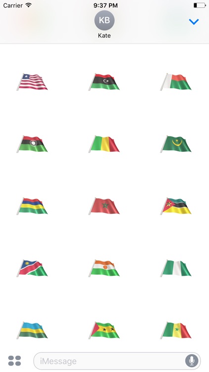 African Flags screenshot-3