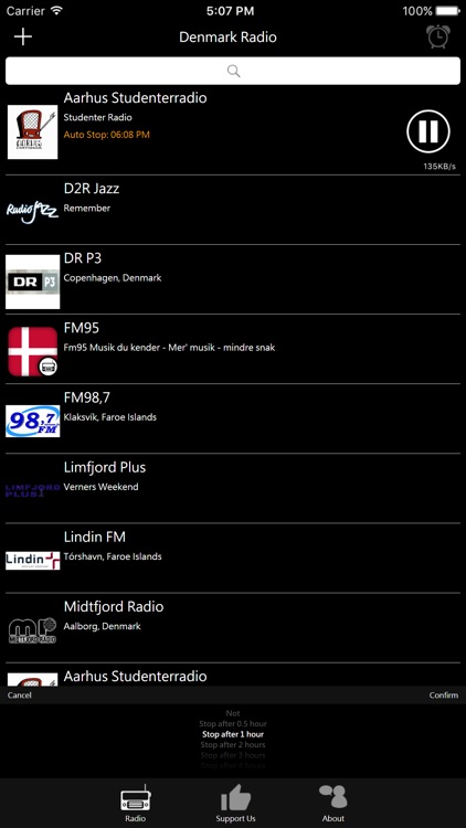 Danish Radio - Dansk Radio