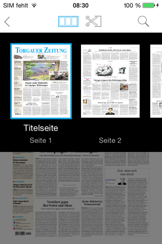 Torgauer Zeitung ePaper screenshot 4