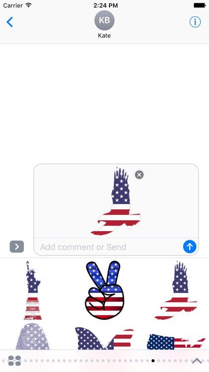 America Sticker Pack