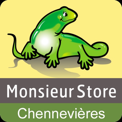 Monsieur Store Chennevières