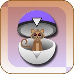 Poke Catch Adventure 2016