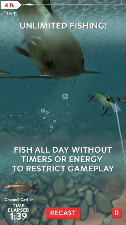 Rapala Fishing - Daily Catch
