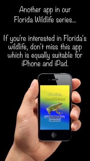 Florida Amphibians - Guide to Common Species(圖1)-速報App