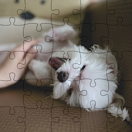 Lovely Dogs Jigsaw Puzzles Kids Game iOS App