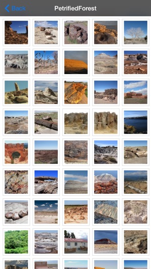 Petrified Forest National Park(圖5)-速報App