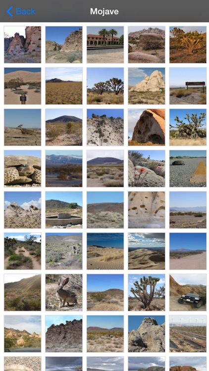 Mojave National Park screenshot-4