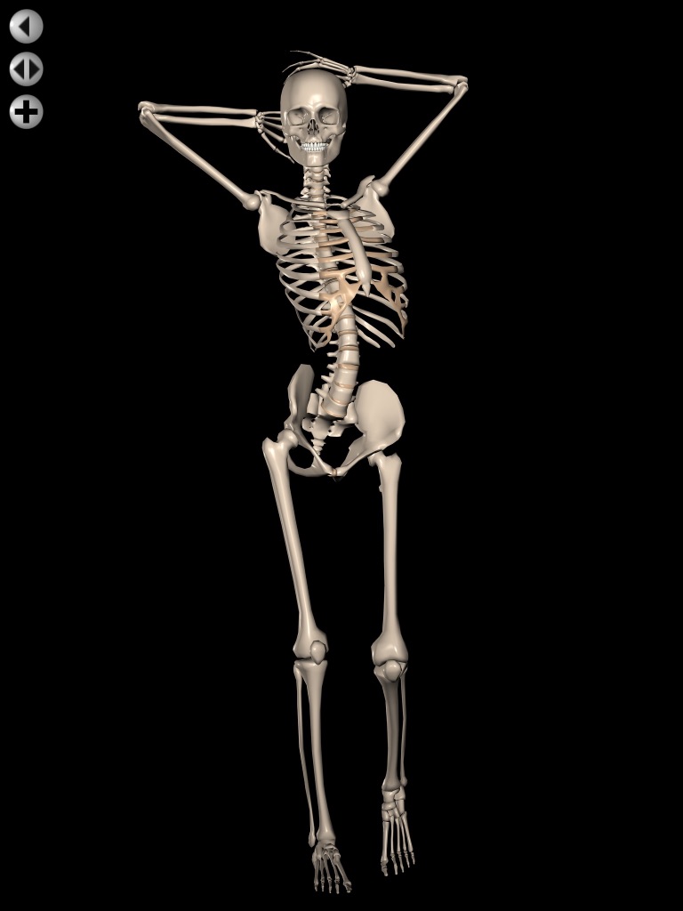 360 Anatomy for Artists HD: Female Figure screenshot 4