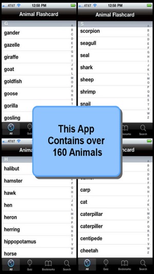 Animal Flashcard(圖5)-速報App