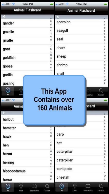 Animal Flashcard screenshot-4