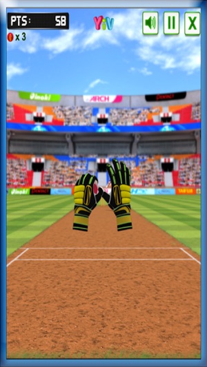 Cricket Fielding In Stadium(圖2)-速報App