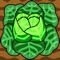 Cabbage Crisis