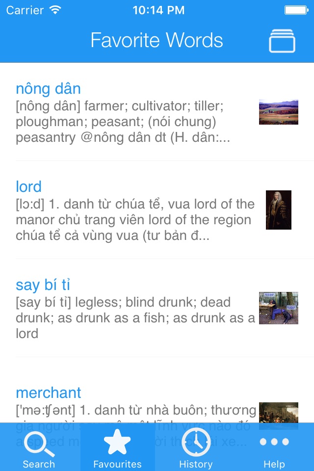 Vietnamese Dictionary screenshot 3