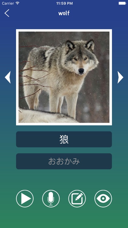 Japanese Word - Learn Japanese Language Vocabulary