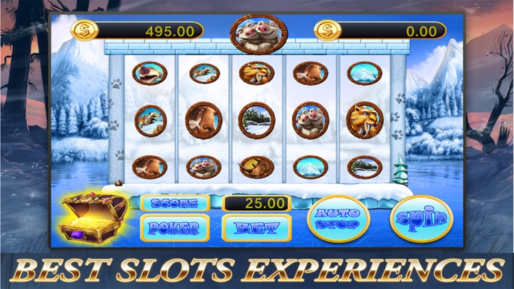 Civet Cartoon Poker - Jackpot Slots Machines