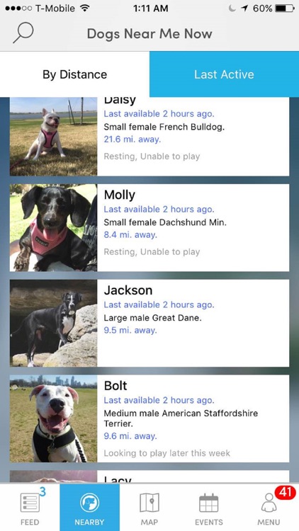 BarkHappy