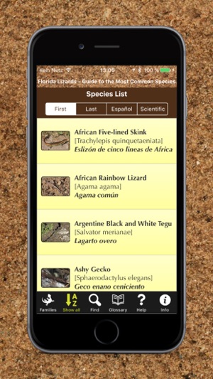 Florida Lizards – Guide to Common Species(圖2)-速報App