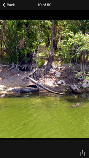 Big Cypress National Preserve - USA(圖5)-速報App