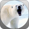 Deadly Wild Polar Bear Attack Simulator Pro