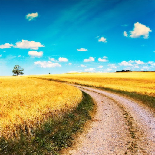 Wallpapers for Country Road: Quotes Backgrounds with Art Pictures icon