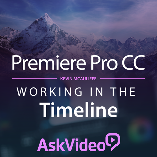 Timeline Course For Premiere Pro CC