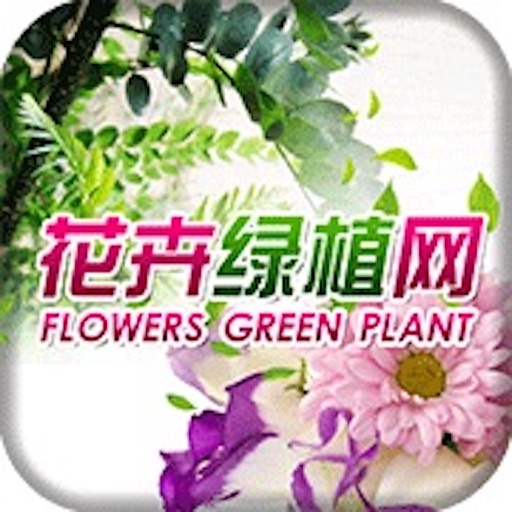 山东花卉绿植网