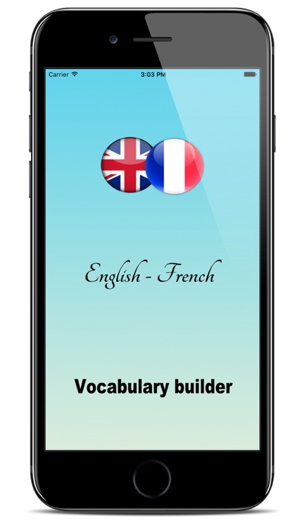 Vocabulary Trainer English - French