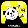Panda Animated Stickers!