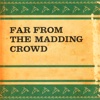 Guide for Far From the Madding Crowd-Key Insights