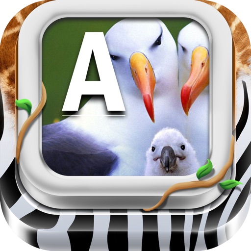 Keyboard Color Wallpaper Animal in The Zoo Themes icon