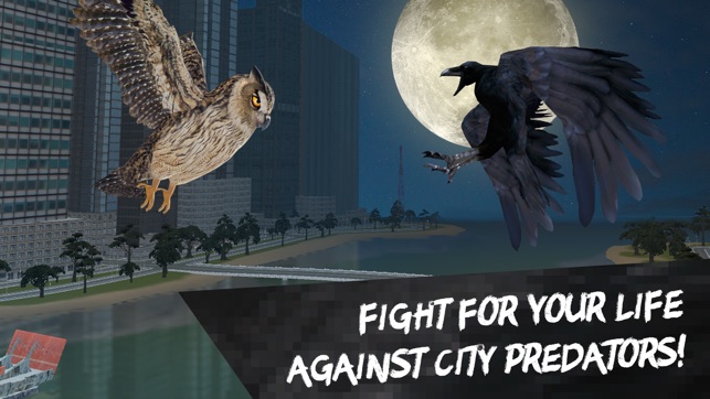 City Crow Simulator 3D Full(圖4)-速報App