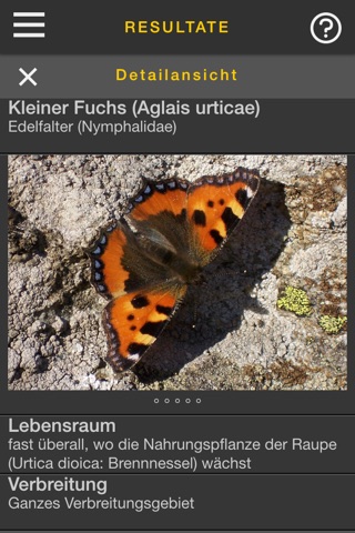 sCHmetterling screenshot 3