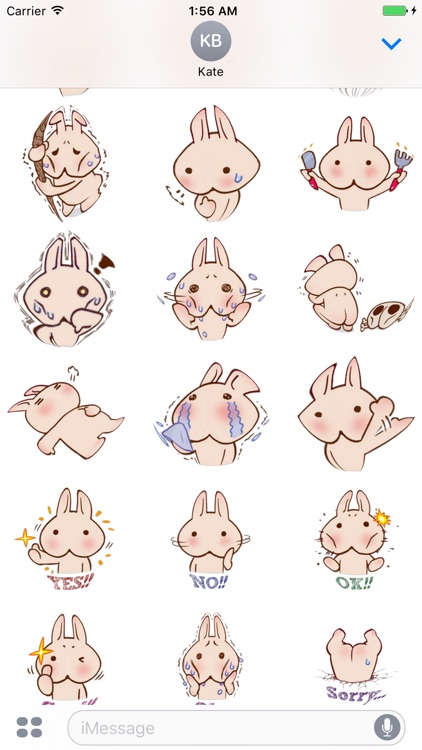 Rabbit Stickers for iMessage