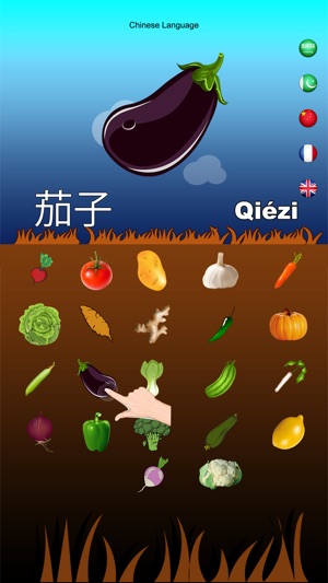 Multilingual Vegetable Names(圖3)-速報App