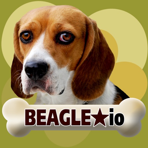 Beagle io Icon