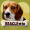 Beagle io