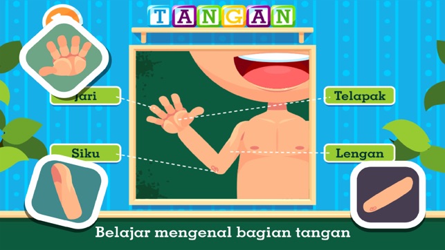 Marbel Bagian Tubuh Full - Seri Belajar & Bermain(圖4)-速報App