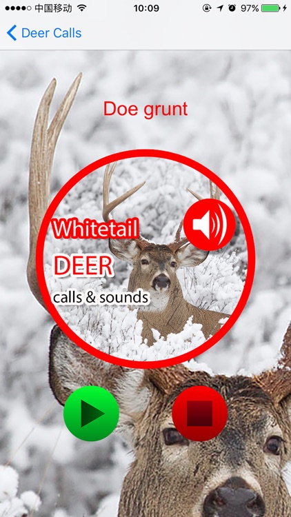 Whitetail Hunting Calls & Sounds - Real Deer Call screenshot-3