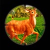 Deer Hunting Game 2016 : Sniper Kill Animals Free