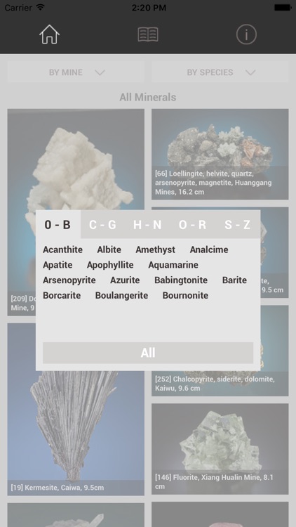 CityU Minerals