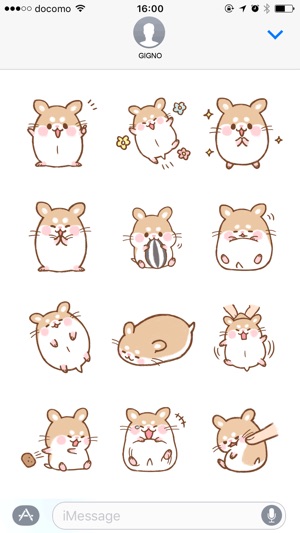 Fluffy Roborovskii hamster(圖2)-速報App