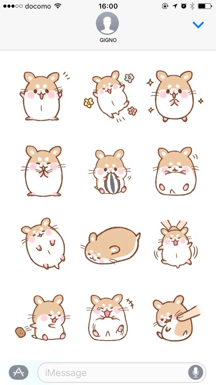 Fluffy Roborovskii hamster