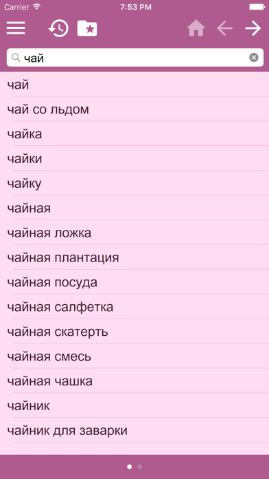 Русско - Мультиязычный словарь screenshot 4